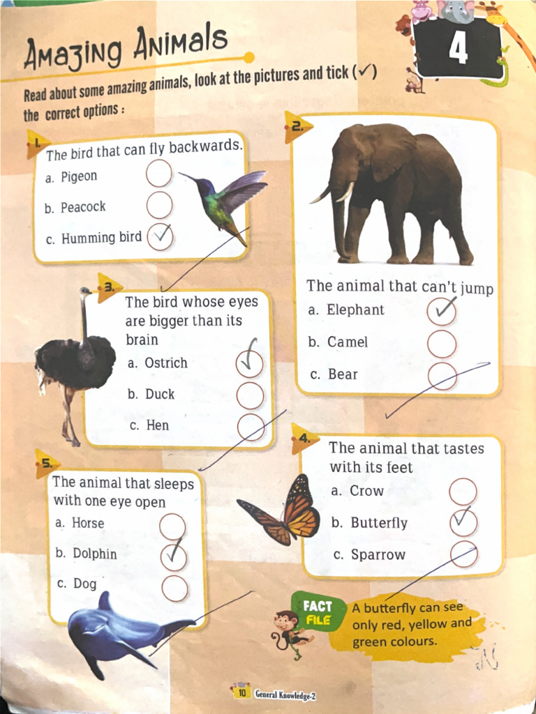Read About Some Amazing Animals, Look at The Pictures and Tick (V) | PDF