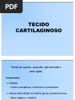 Tecido CARTILAGINOSO