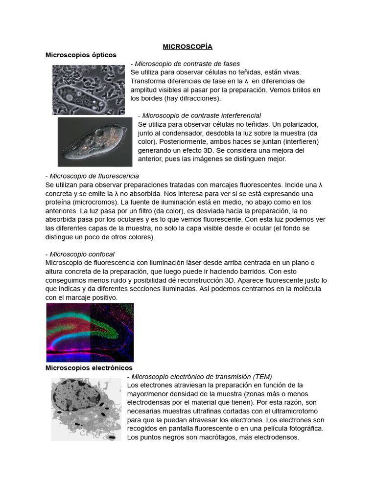 MICROSCOPÍA | PDF