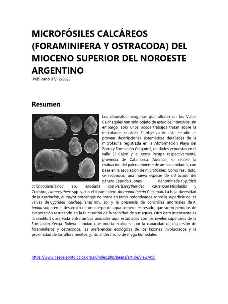 Microfósiles Calcáreos | PDF