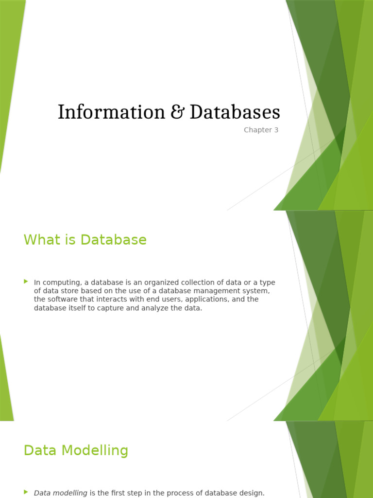 Chapter 3 - Information and Databases | PDF