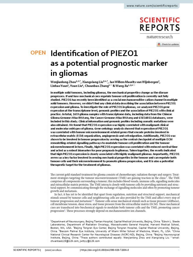 Identification of PIEZO1 As A Potential Prognostic Marker in Gliomas | PDF