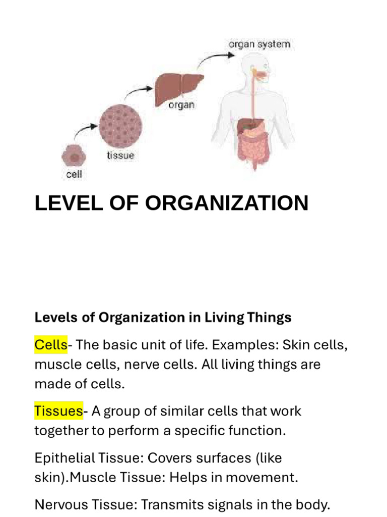 CELL ORGANELLES AND THEIR FUNCTIONS PDF IN HINDI visual data 5