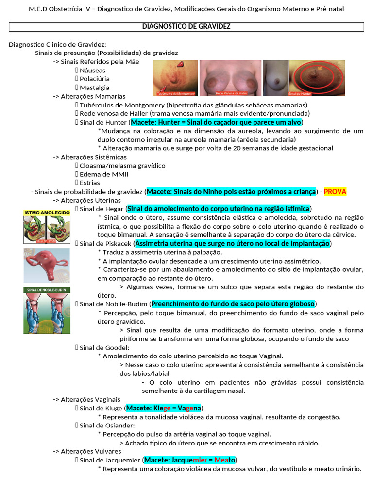 M.E.D Obstetrícia IV – Diagnostico de Gravidez, Modificações Gerais do ...