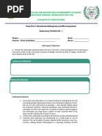 Insect Collection Labeling Guide | PDF | Insects | Arthropods