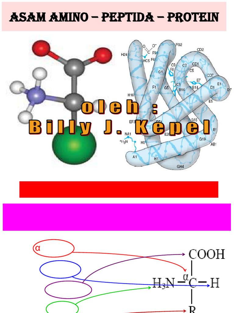 Struktur Asam Amino dan Protein | PDF