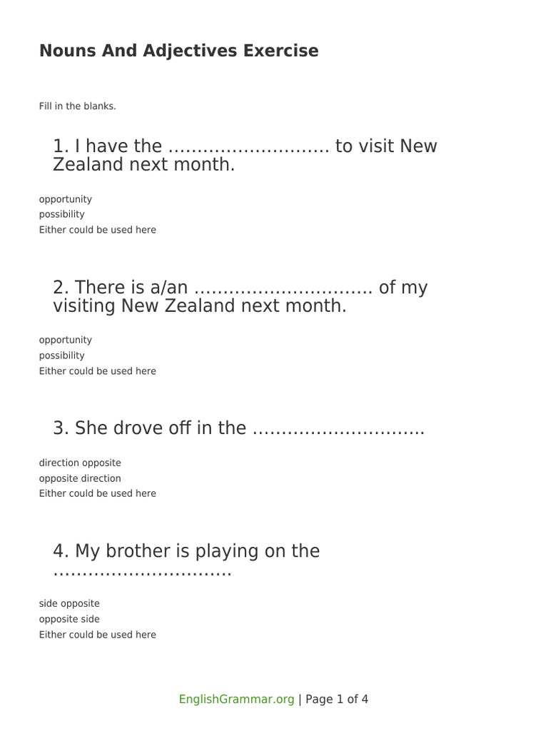 Nouns And Adjectives Exercise | PDF