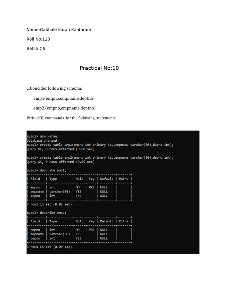 PR 10 | PDF | Computers | Technology & Engineering