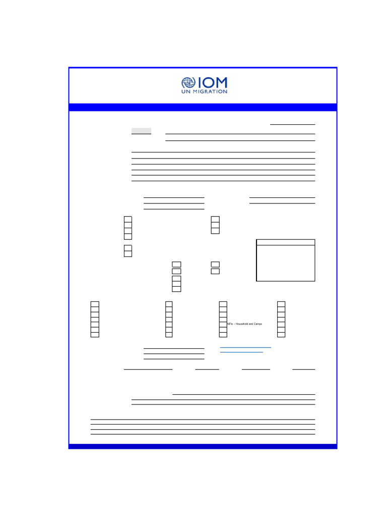 IOM Vendor Information Form | PDF | Wire Transfer | Banks