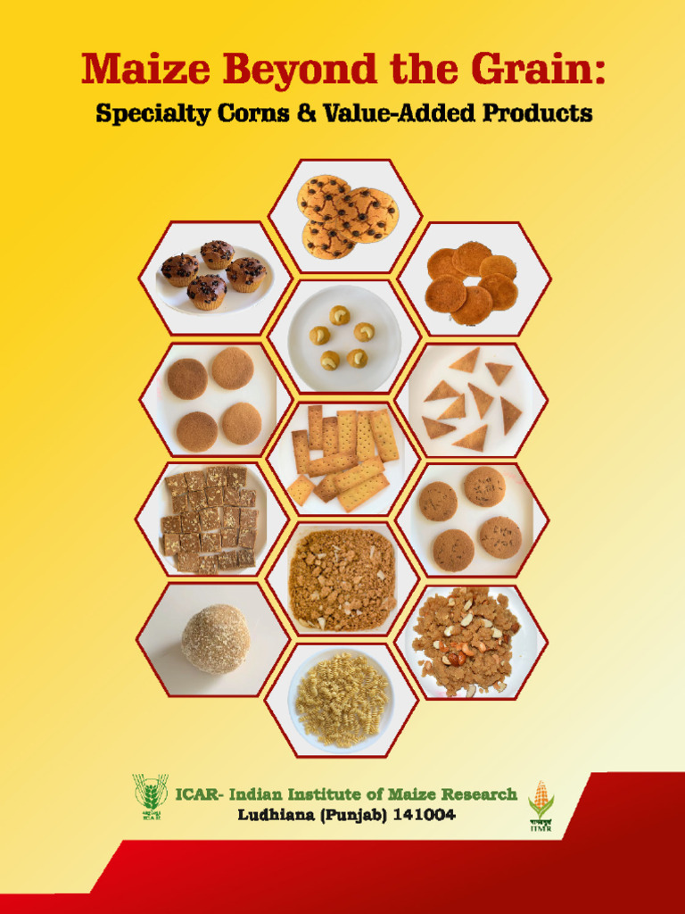 Maize Beyond The Grain Page 01 | PDF
