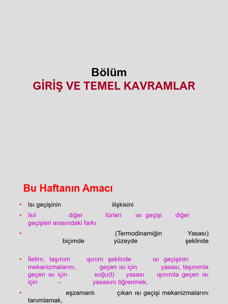 1 Giri Ve Temel Kavramlar - 241003 - 091102 | PDF