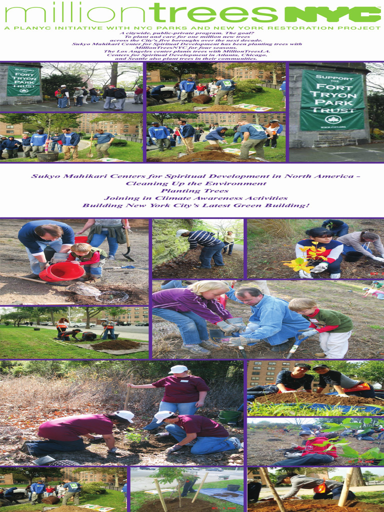 4D Informational Display 2B | PDF