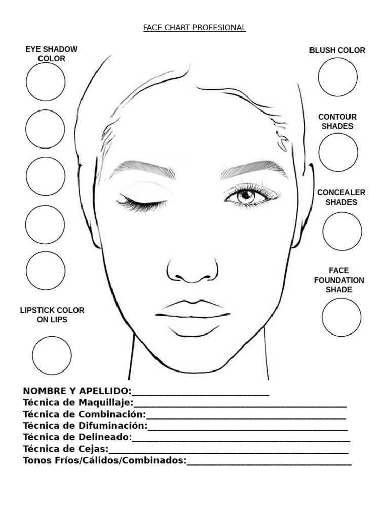 Face Chart Profesional 2024 | PDF