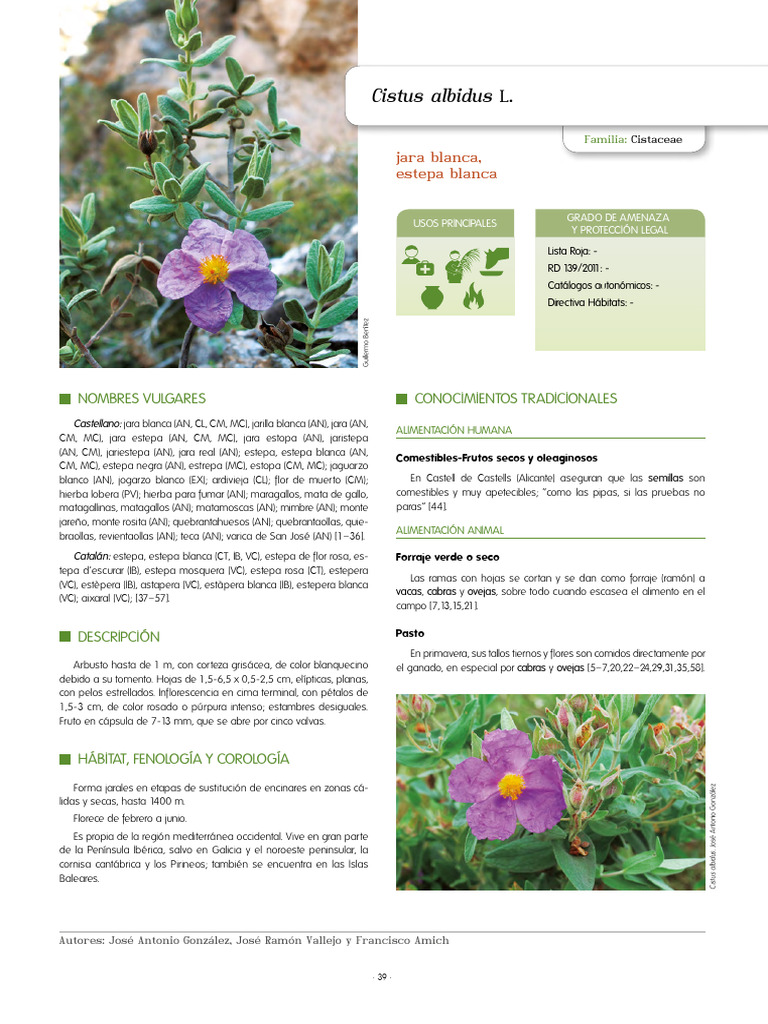 Cistus Albidus L. en Inventario Espanol | PDF