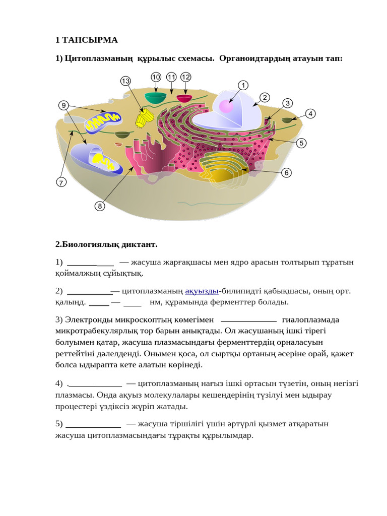 1970 жылдардағы порнофильмдер