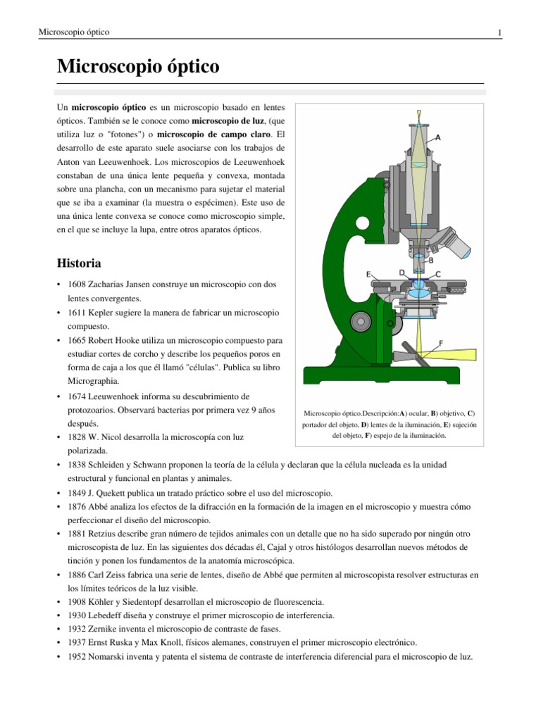 Microscopio Optico | PDF | Óptica | Radiación electromagnética