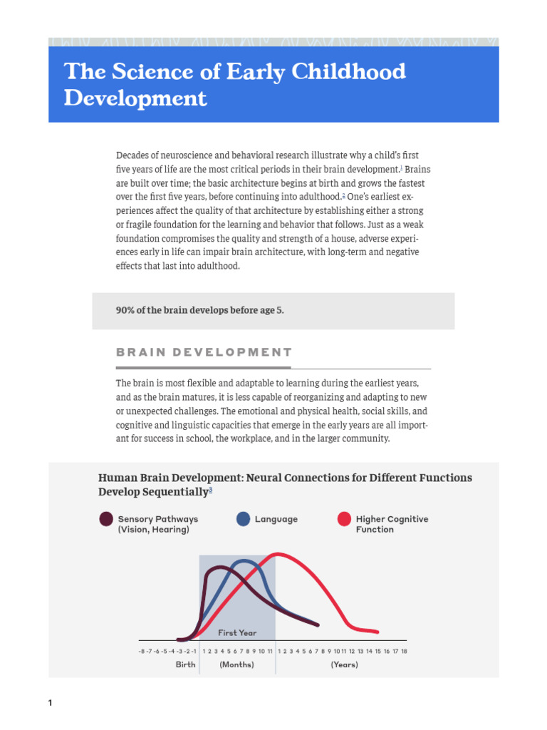 Early Childhood Brain Development Insights | PDF | Brain | Learning