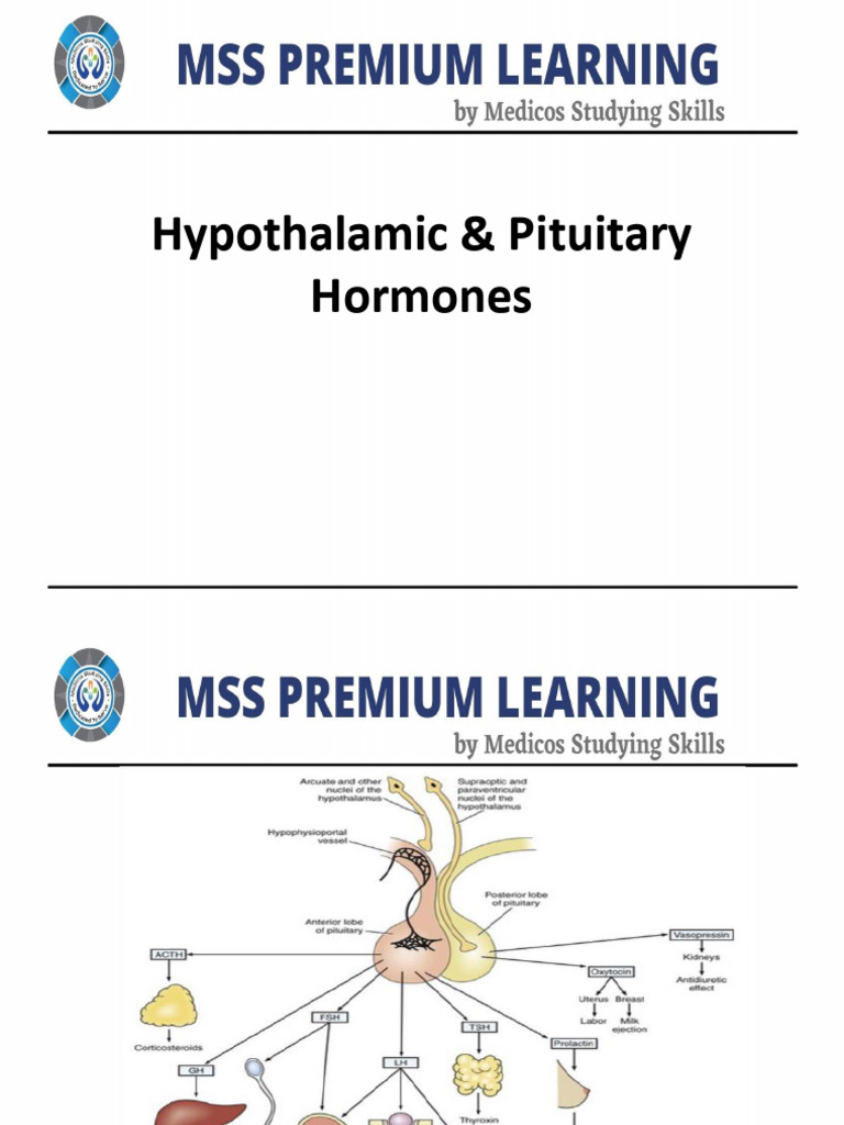 Lecture 26 Hypothalamic & Pituitary Hormones | PDF | Growth Hormone ...