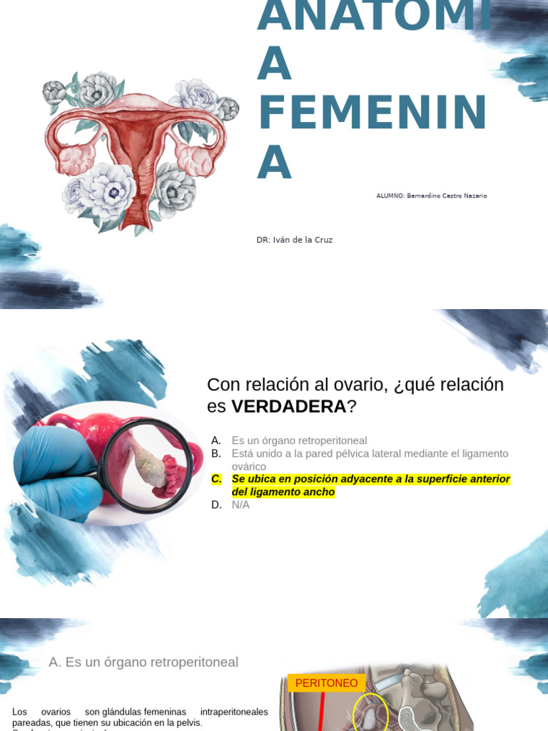 Anatomia Pgta | PDF | Ovario | Ginecología