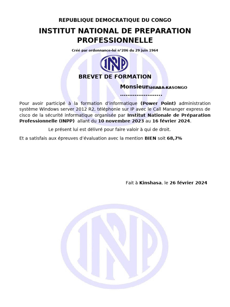Brevet de formation en informatique INPP | PDF