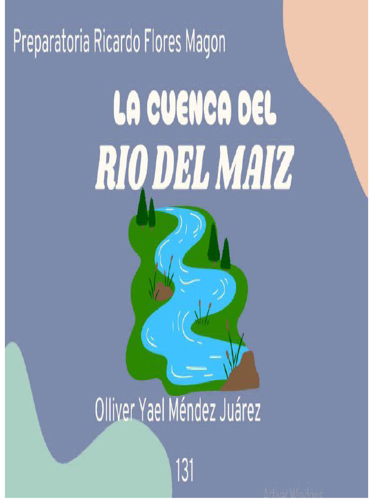 Trabajo Word Rio | PDF | Contaminación | Agua