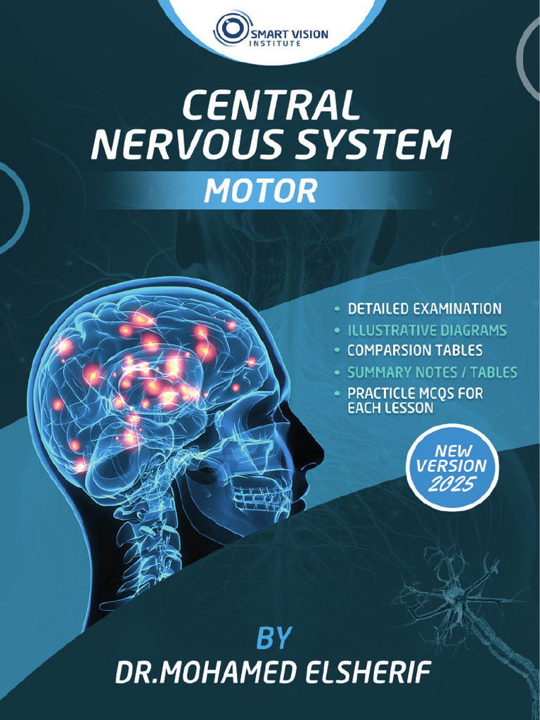 Nervous System and Reflex Arcs Explained | PDF | Motor Neuron | Axon