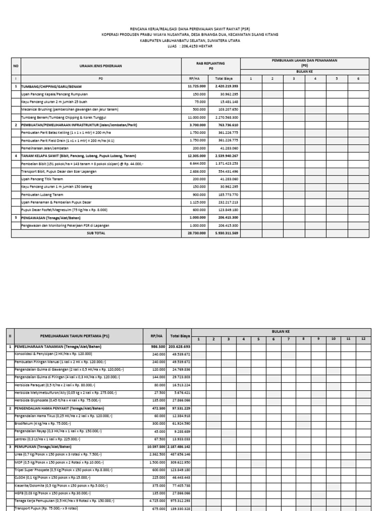 RAB Replanting Kelapa Sawit 2021 | PDF
