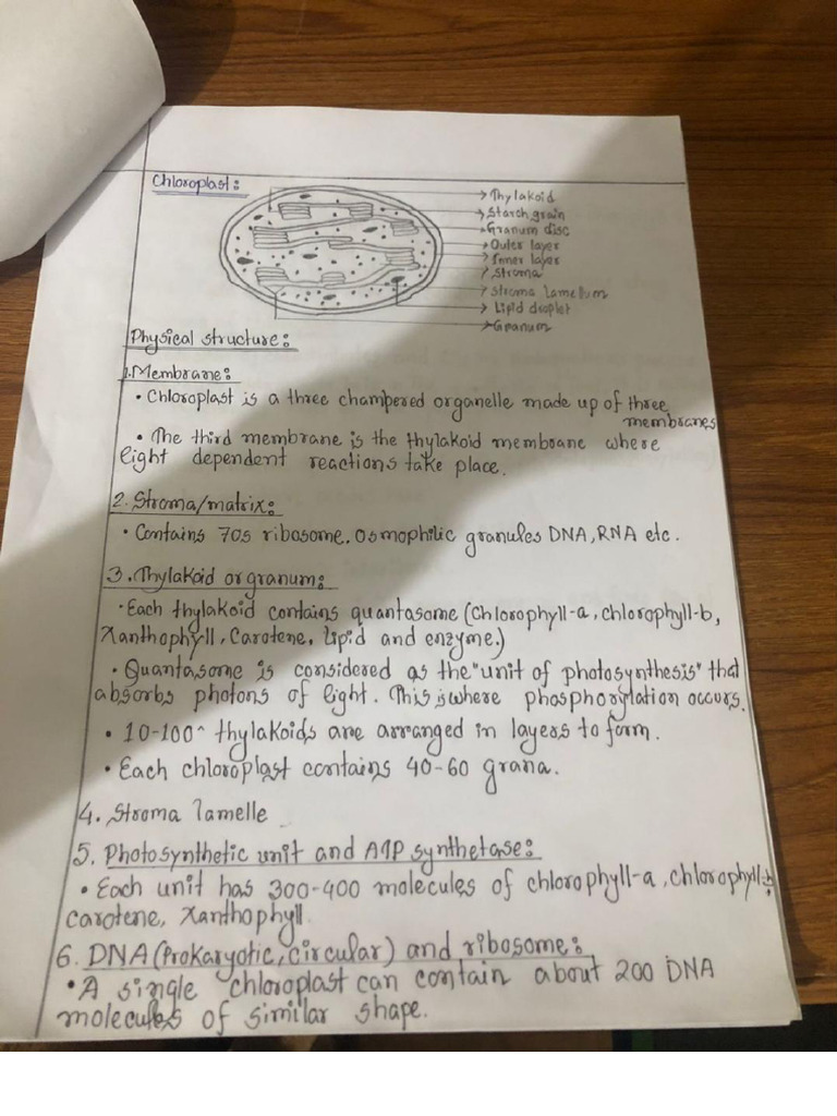 Biology Assignment | PDF