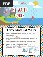 Grade 6 Water Cycle Quiz and Answers | PDF | Water Cycle | Water