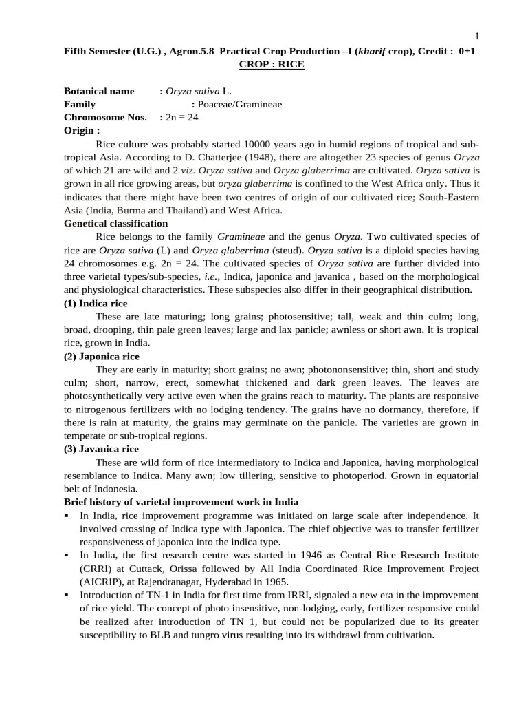 Rice Varieties and Cultivation Techniques | PDF | Rice | Soil