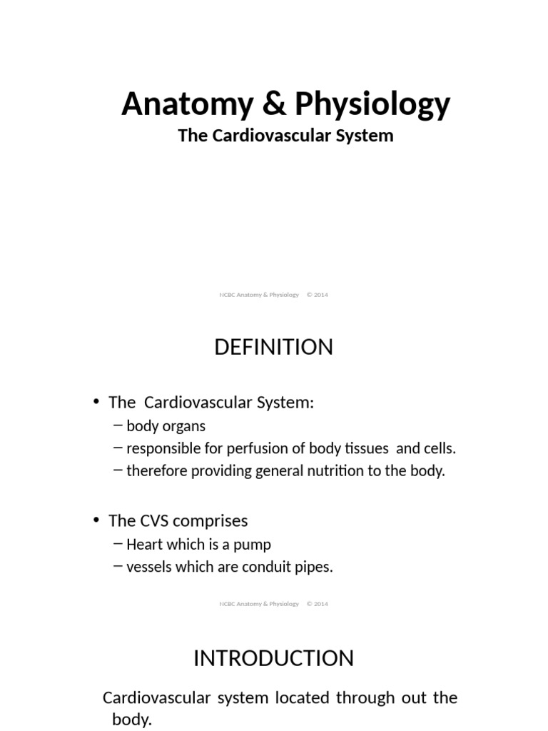 The Cardiovascular System Pdf Heart Valve Heart