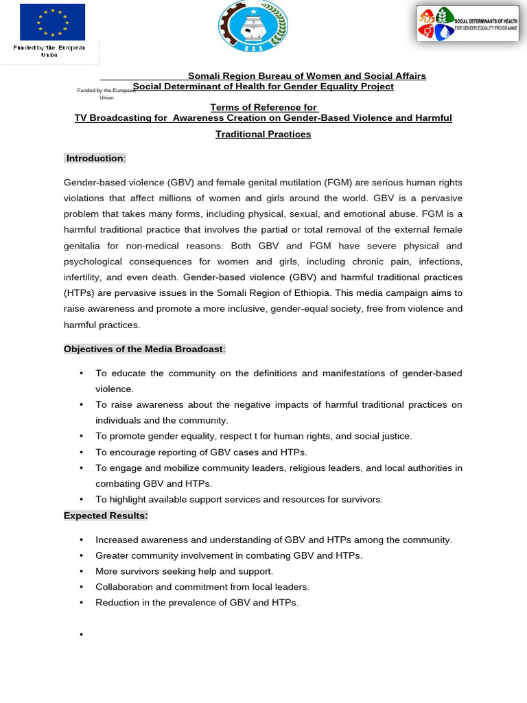 Media Campaign Against GBV in Somalia | PDF | Violence Against Women ...