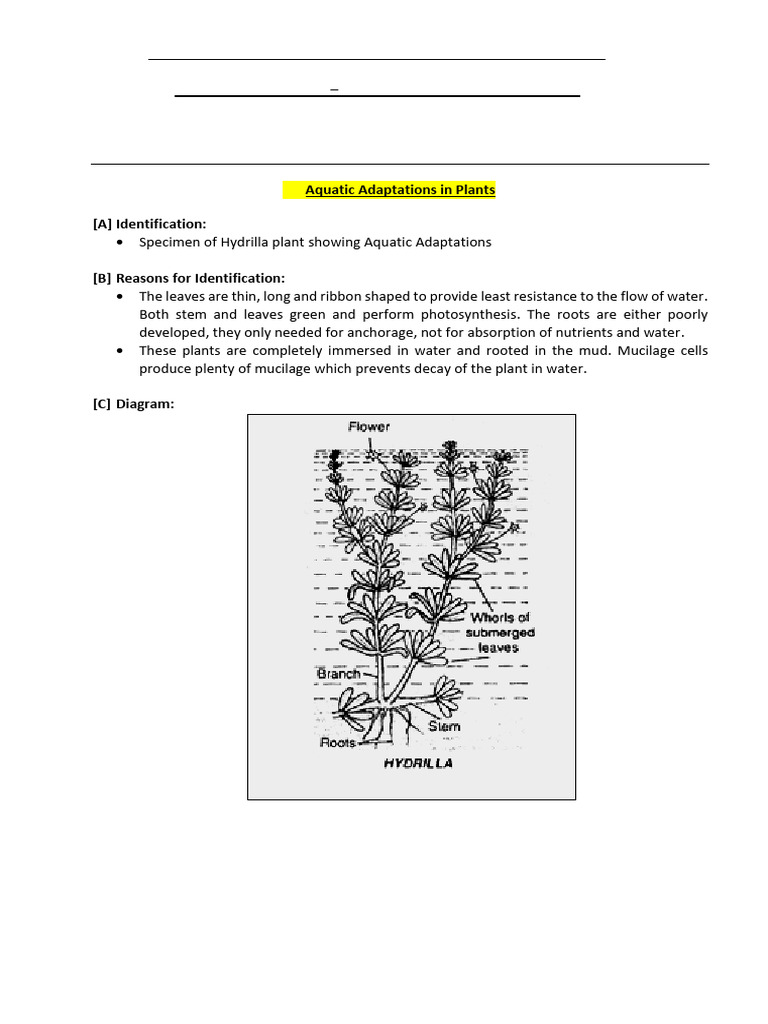 7 Ecological Adaptations Aquatic Pdf Science Mathematics