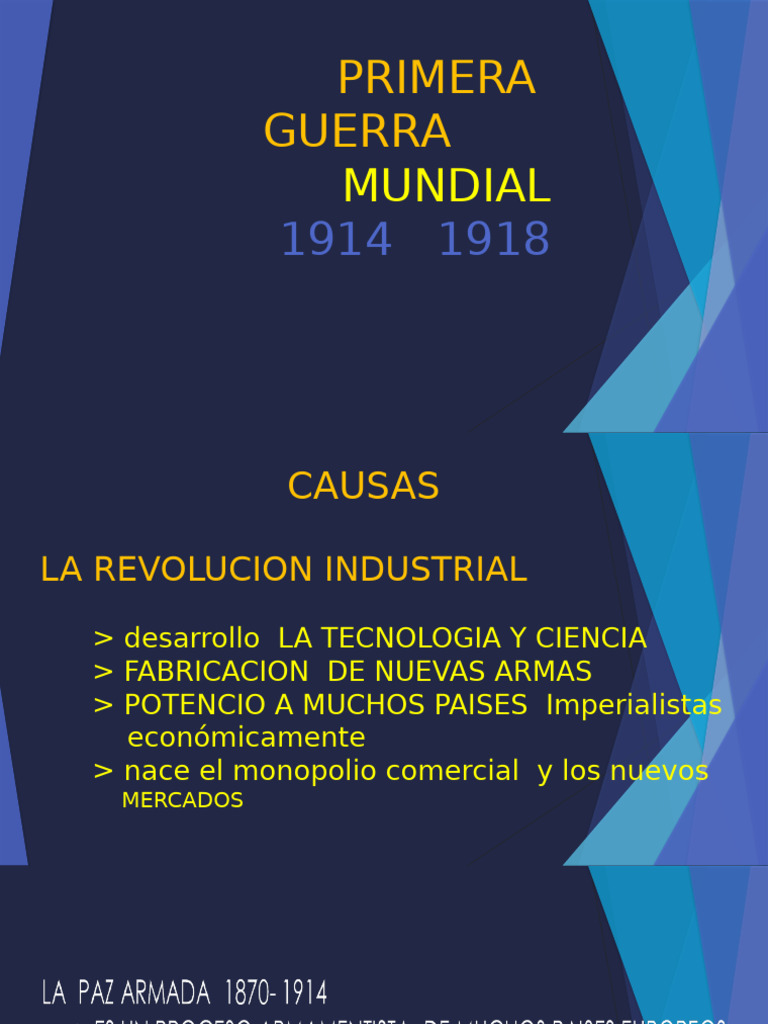 Causas y Consecuencias de la Primera Guerra Mundial | PDF