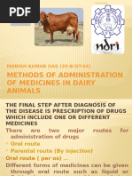 Cattle Injection Techniques SOP | PDF | Injection (Medicine ...