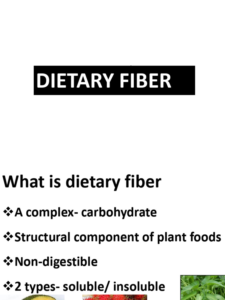 Dietary Fiber - 240531 - 132212 | PDF