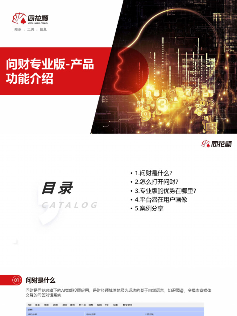 问财专业版 | PDF