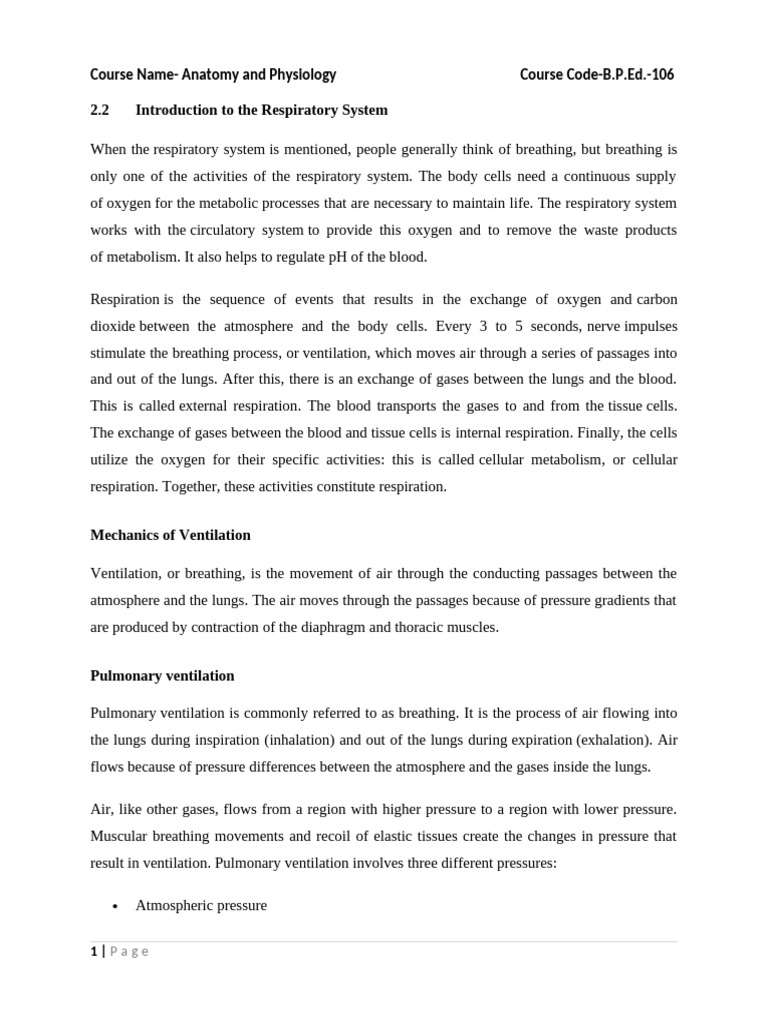 2.2 Introduction To The Respiratory System | PDF | Breathing | Lung