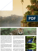 Amazon Wildlife Tour 2012-Print