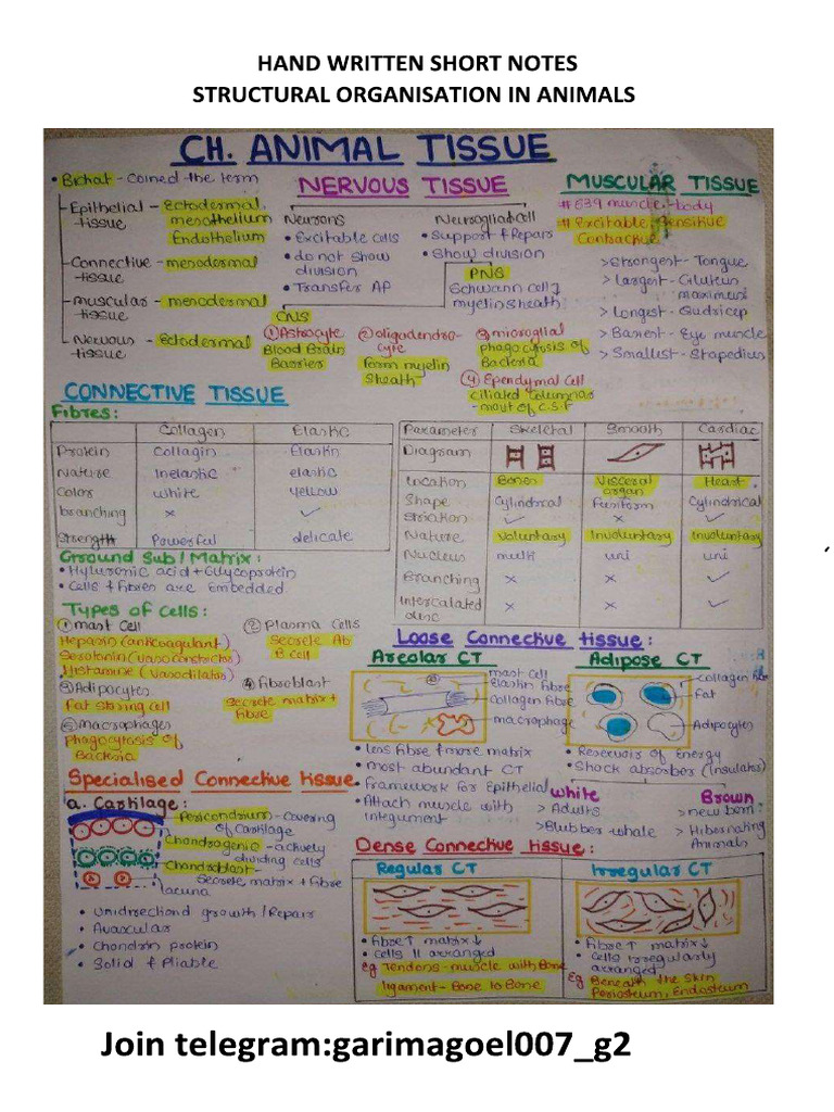 Structural Organisation in Animals Class 11th Chapter 7 | PDF