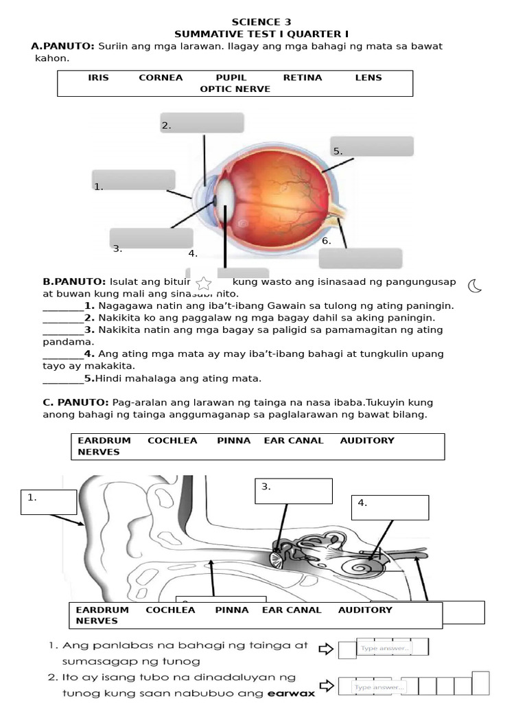 Summativ Test I Quarter 2 Science 3 | PDF