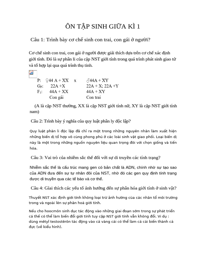 On Tap Sinh Giua Ki 1-1 | PDF