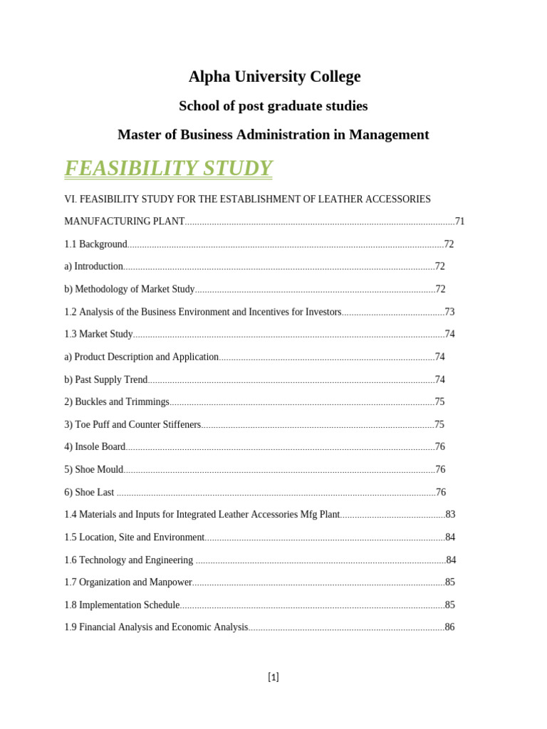 MBA Feasibility Study: Leather Plant | PDF | Entrepreneurship | Economies