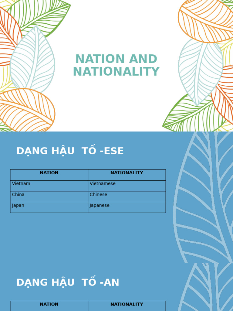 Nation and Nationality | PDF