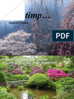 Fa-Ti Timp ( Kipling- Clay Der Man)