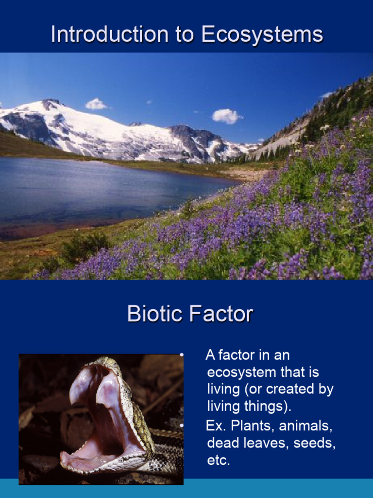 1.1 Introduction To Ecosystems | PDF | Social Science | Science ...