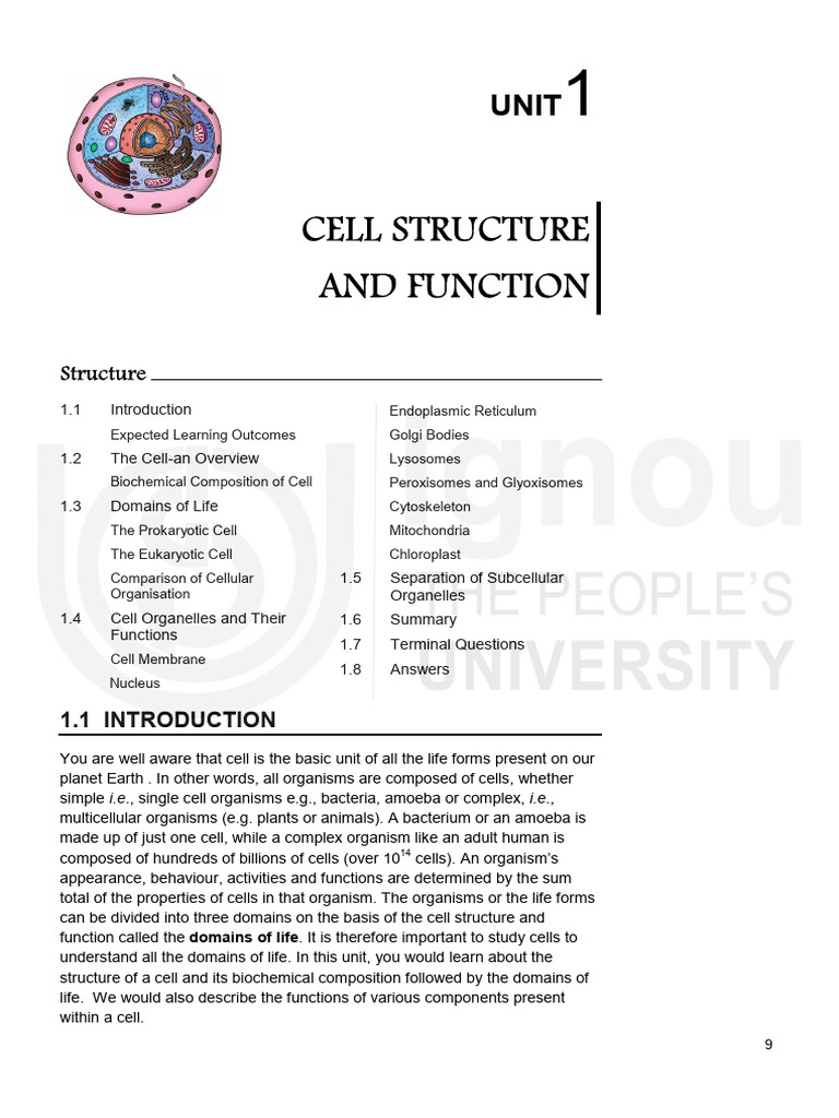Cell Structure and Function Overview | PDF | Endoplasmic Reticulum ...