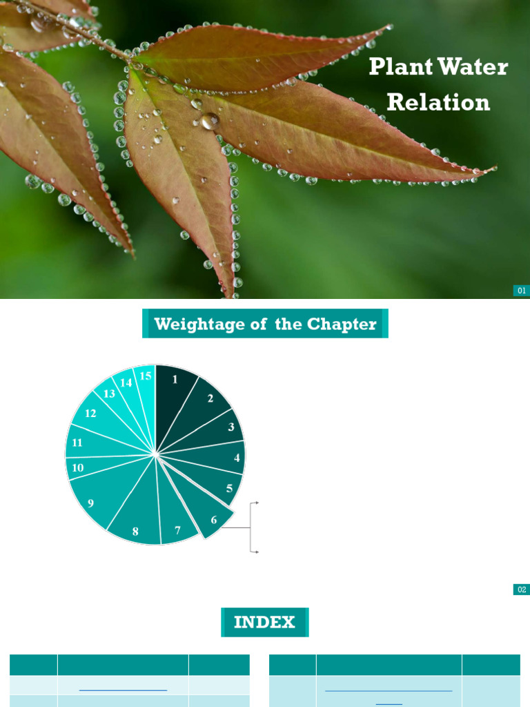 Plant Water Relations: Key Concepts | PDF | Osmosis | Stoma