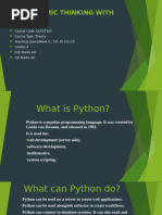 Python Sandbox Turtle Mode | PDF