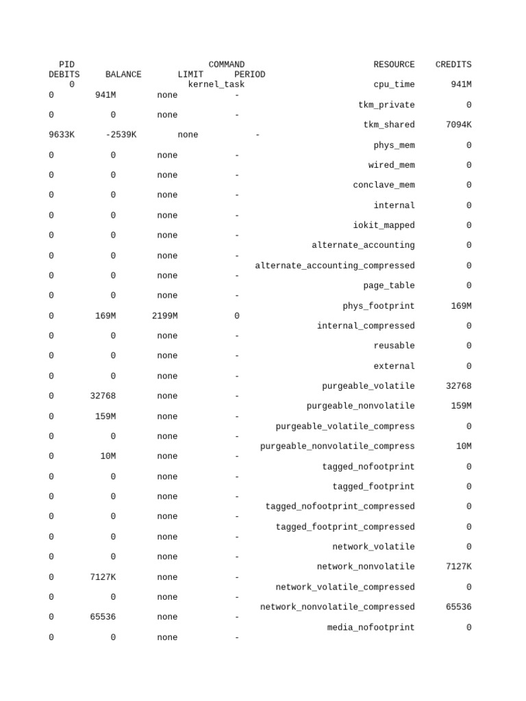 System Resource Usage Overview | PDF